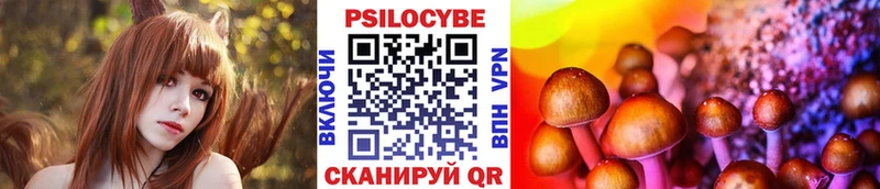 закладки  Фролово  Галлюциногенные грибы Cubensis 